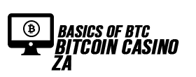 Bitcoin Basics south africa