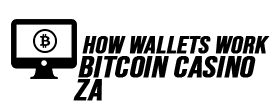 How Bitcoin Wallets ZA works